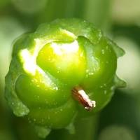 WhatsApp Image 2019-05-10 at 12.13.45